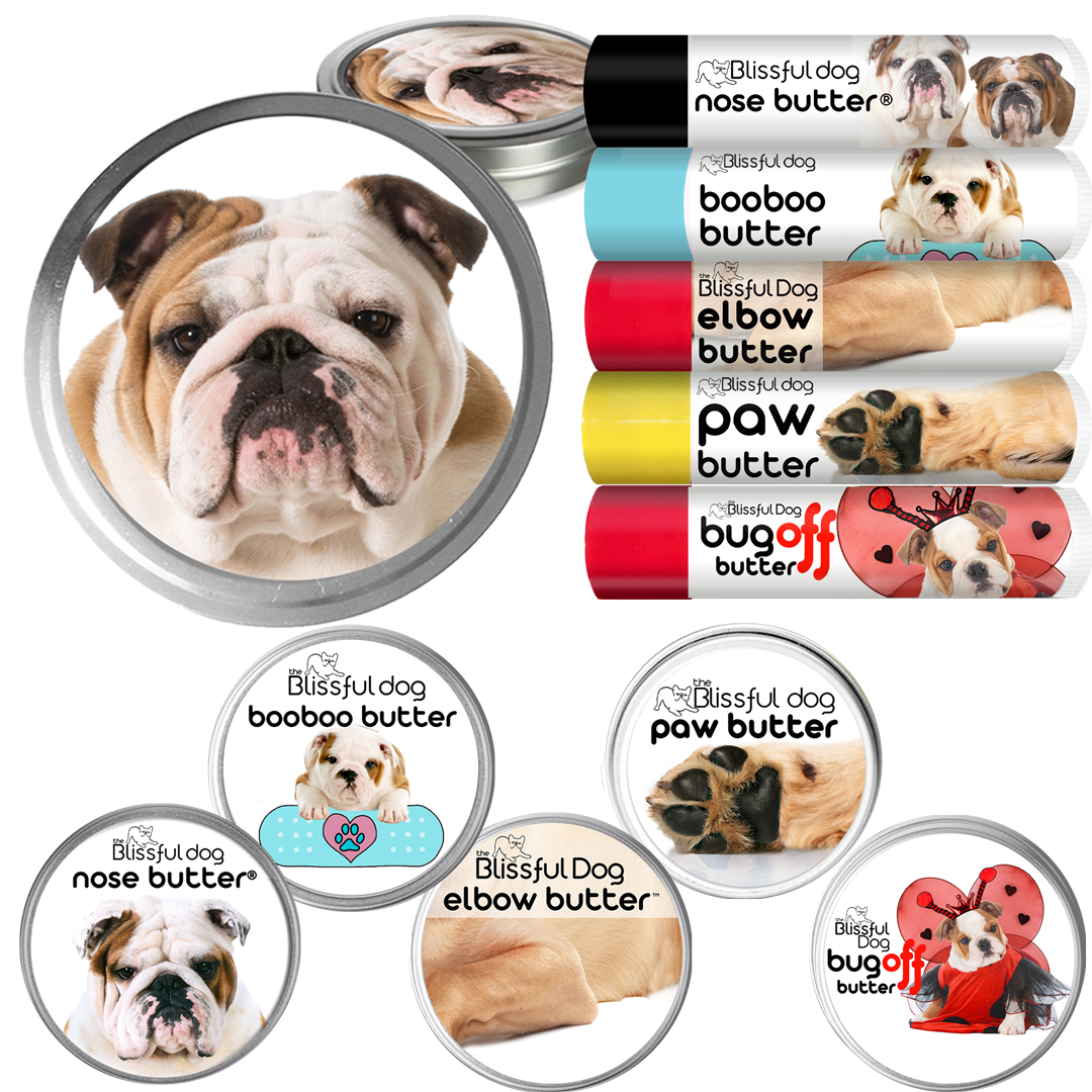 bulldog gift idea